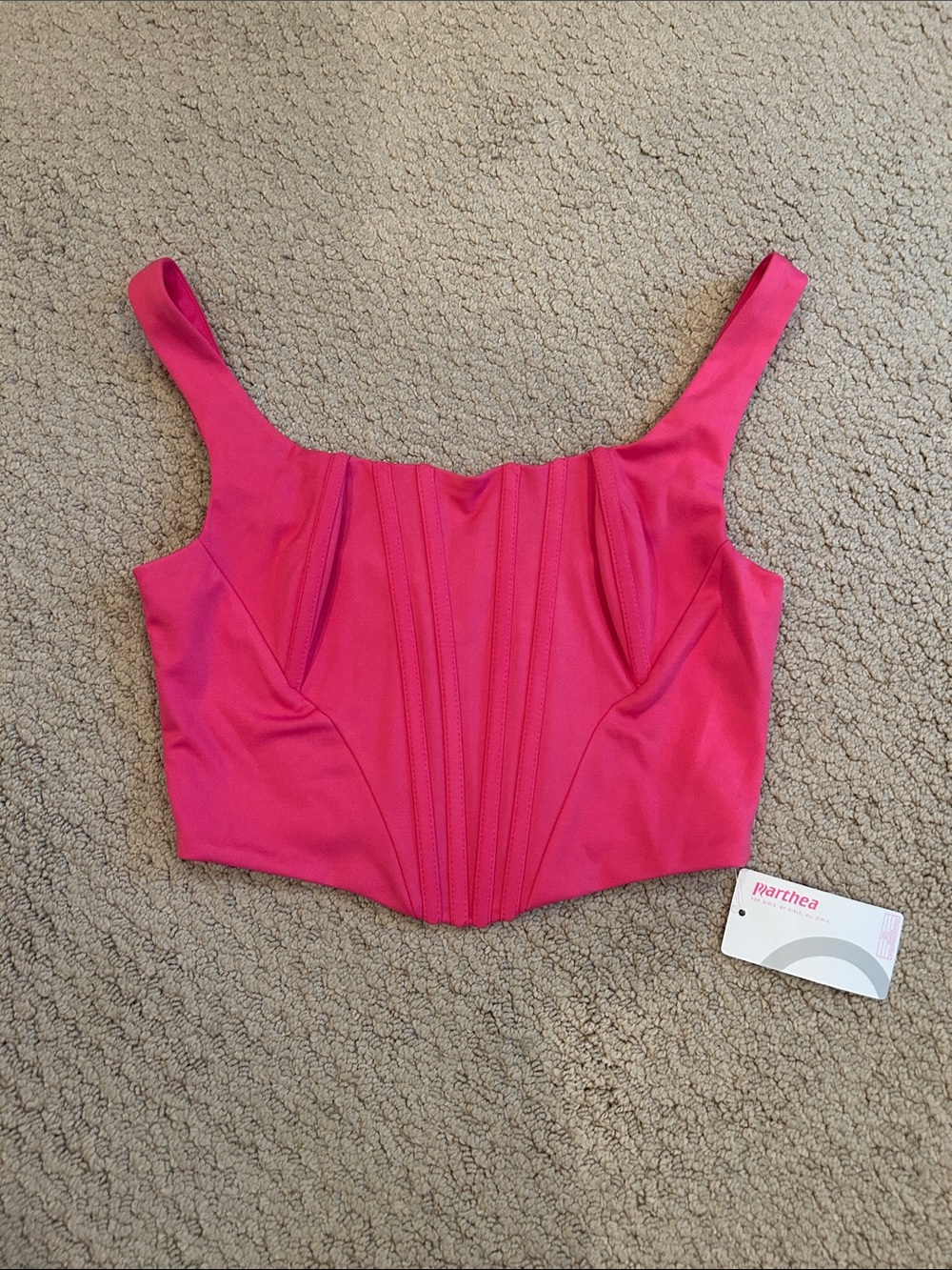 Hot Pink Cropped Bustier Top